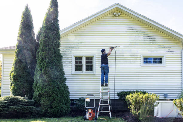 Best Animal Enclosure Cleaning  in Chase City, VA